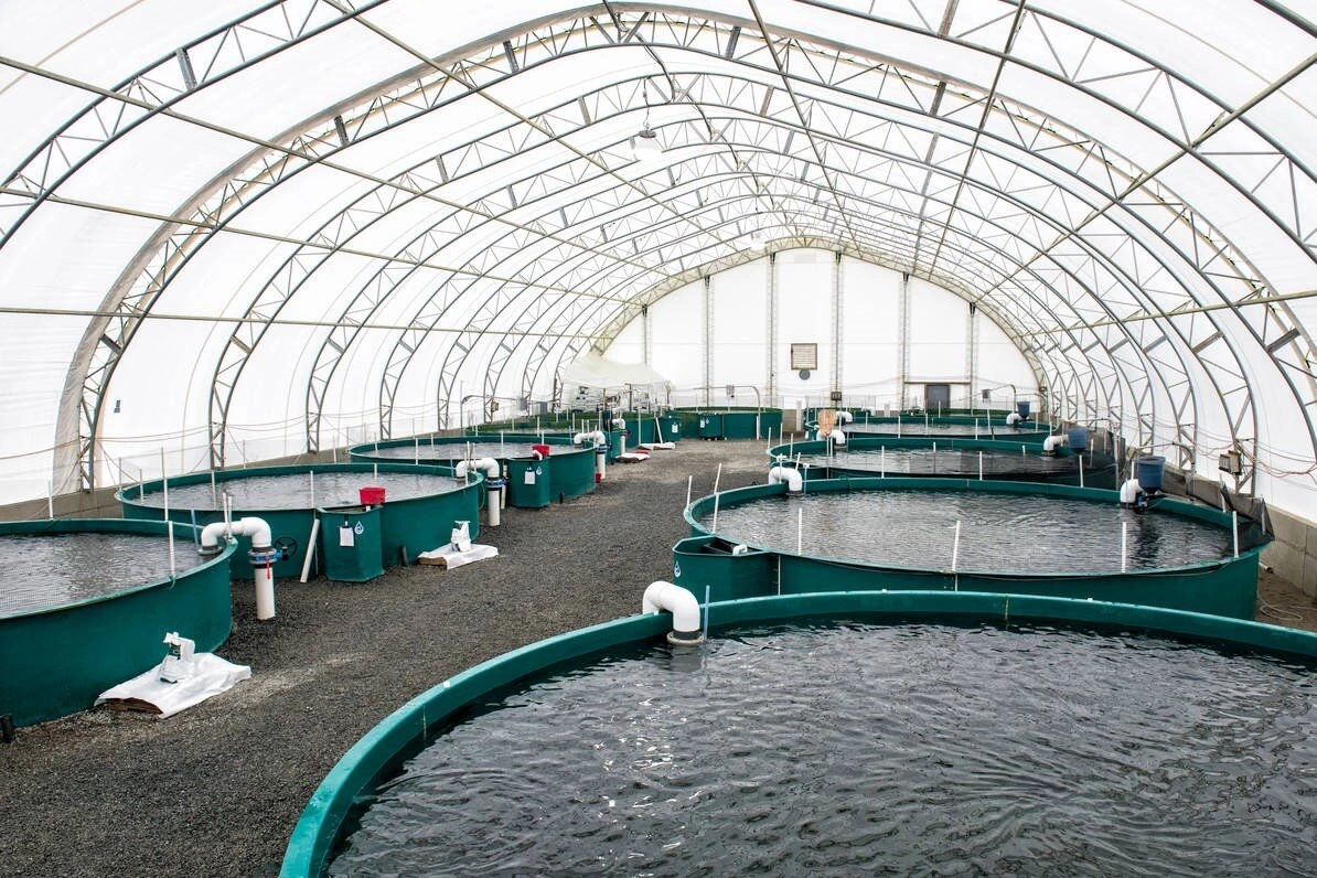 Производственные мощности Pro Fish Line увеличены: новая ступень в развитии компании